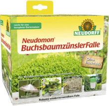 Neudorff Neudomon Buchsbaumzünslerfalle zur Befallskontrolle