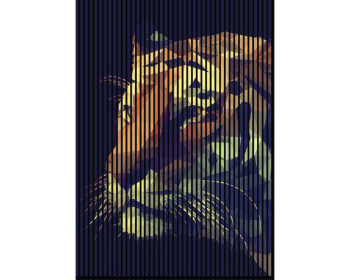 Akustikpaneel digital bedruckt Tiger 1 19x1693x2400 mm Set = 3 Einzelpaneele