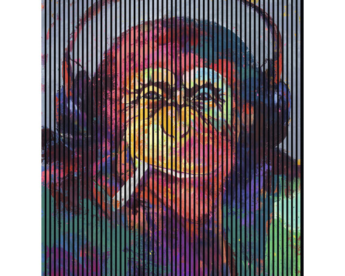 Akustikpaneel digital bedruckt Monkey 2 19x2253x2400 mm Set = 4 Einzelpaneele