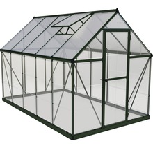 Serre PALRAM Hybrid 6x10 avec rayonnage pour charges lourdes et fondation 185&nbsp;x&nbsp;306&nbsp;cm vert