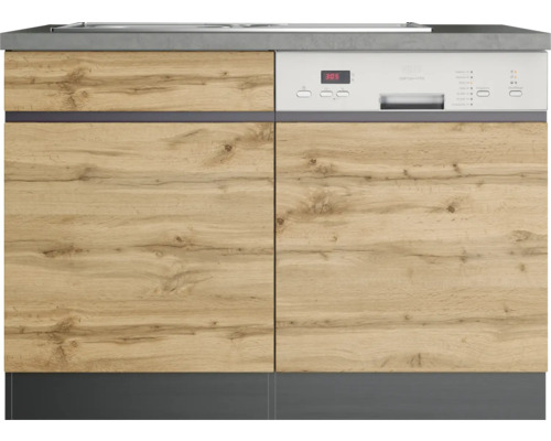 Geschirrspüler mit Holzfront in Küchenzeile