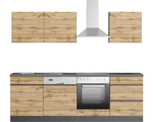 Cuisine équipée avec armoires de cuisine, évier, lave-vaisselle, cuisinière et hotte aspirante