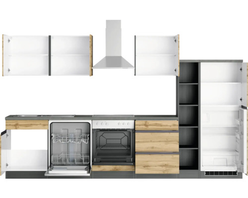 Cuisine complète avec lave-vaisselle, cuisinière, hotte aspirante et réfrigérateur