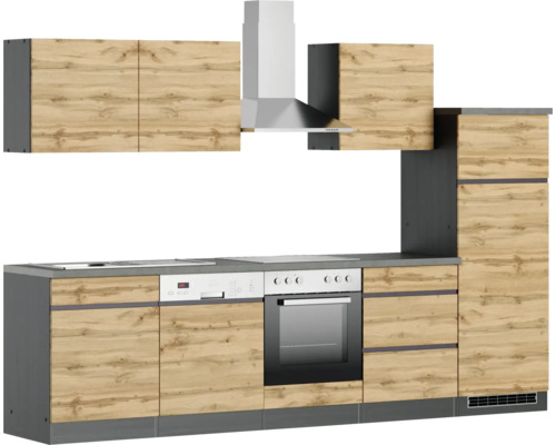 Cuisine complète avec éléments suspendus, hotte aspirante, évier, lave-vaisselle, cuisinière et four