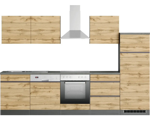 Cuisine avec meubles hauts, hotte aspirante, lave-vaisselle et cuisinière