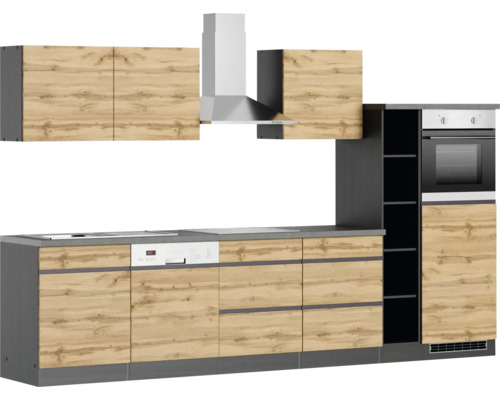 Cuisine équipée avec évier, lave-vaisselle, cuisinière, hotte aspirante et four