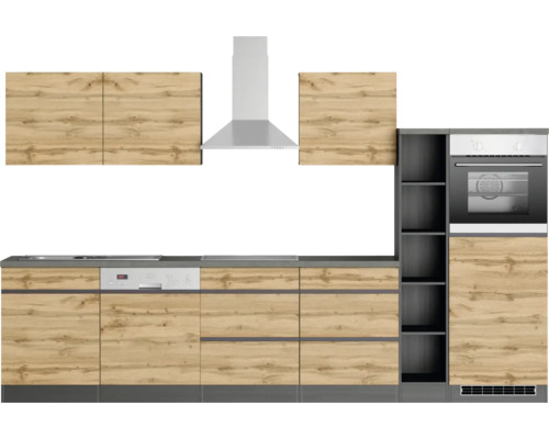 Cuisine équipée avec évier, lave-vaisselle, plaque de cuisson, hotte aspirante et four