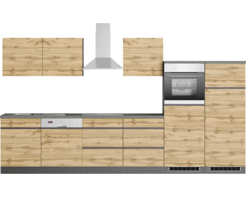 Cuisine équipée avec lave-vaisselle, four et hotte aspirante