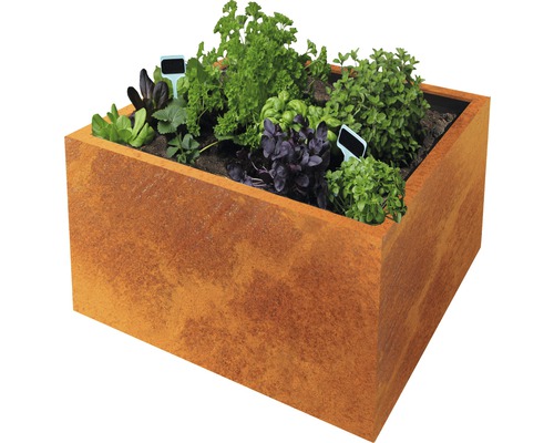 Pflanzgefäss Clara 80 x 80 x 50 cm Cortenstahl braun Pflanzgefäss Clara 80 x 80 x 50 cm Cortenstahl braun