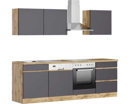 Cuisine moderne avec hotte aspirante, évier, plaque de cuisson, lave-vaisselle, four et armoires suspendues