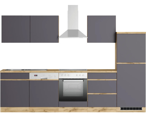 Cuisine moderne avec hotte aspirante, lave-vaisselle et four encastrable