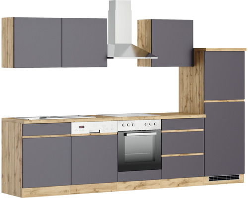 Cuisine équipée avec évier, lave-vaisselle, cuisinière, four, hotte aspirante et éléments hauts