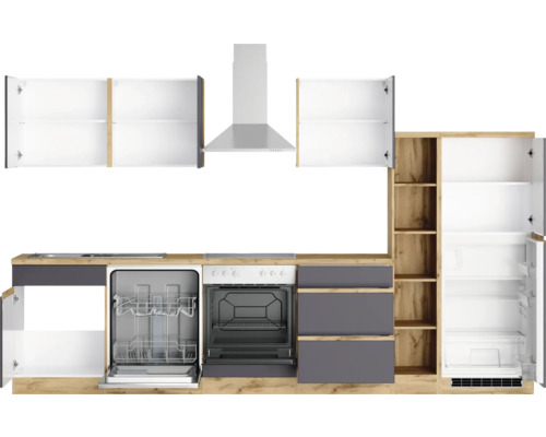 Cuisine équipée avec évier, lave-vaisselle, four, hotte et réfrigérateur