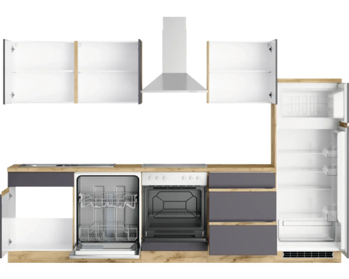 Cuisine complète avec évier, cuisinière, hotte aspirante, lave-vaisselle et réfrigérateur