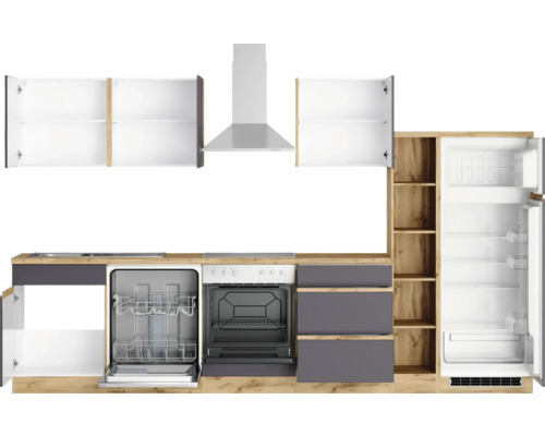 Cuisine linéaire avec lave-vaisselle, cuisinière, hotte aspirante et réfrigérateur
