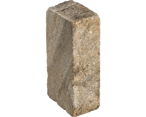 Pierre de pavage unique