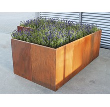 Hochbeet klassisch palatino Urban 300 x 200 x 70 cm in L-Form Cortenstahl-thumb-0 Hochbeet klassisch palatino Urban 300 x 200 x 70 cm in L-Form Cortenstahl-thumb-0