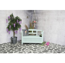 Dekorative Gartenszene mit Bank, Pflanze und Accessoires