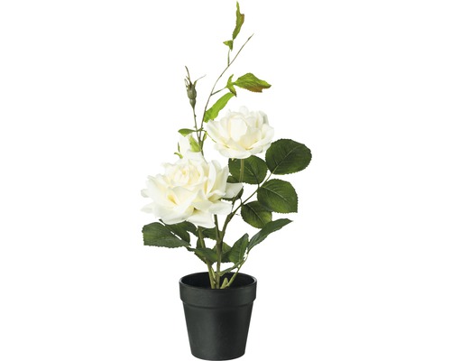 Plante artificielle rosier buisson en pot h 40 cm crème