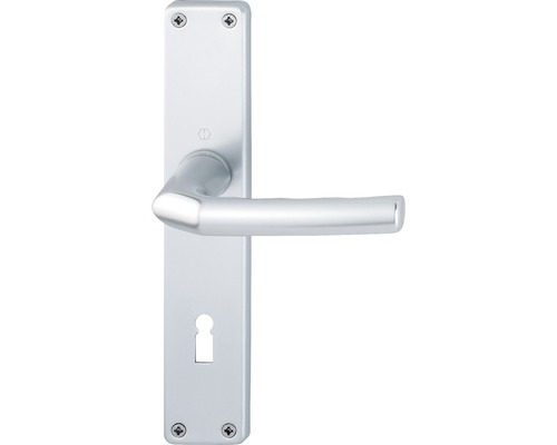 Hoppe Poignée sur plaque longue BB 2533847 Birmingham 1117/202SP distance entre les trous 72 mm argent Hoppe Poignée sur plaque longue BB 2533847 Birmingham 1117/202SP distance entre les trous 72 mm argent