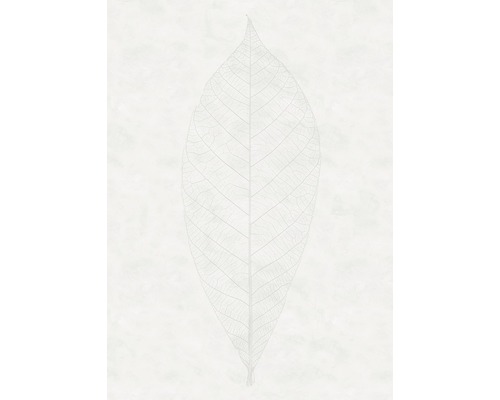 Papier peint panoramique intissé R2-012 Decent Leaf 2 pces  200 x 280 cm