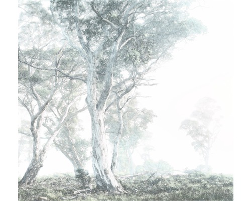 Papier peint panoramique intissé R3-023 Magic Trees 3 pces 300 x 280 cm
