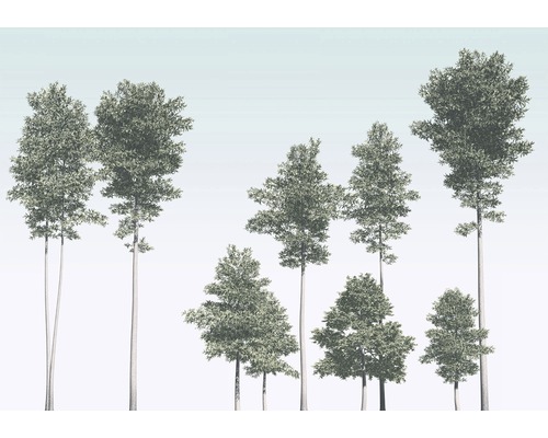 Papier peint panoramique intissé R4-040 Pines 4 pces 400 x 280 cm