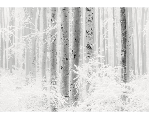 Papier peint panoramique intissé R4-043 Winter Wood 4 pces 400 x 280 cm
