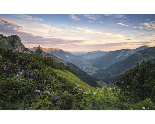 Papier peint panoramique intissé SHX9-059 Alpes en Allgäu 9 pces 450 x 280 cm