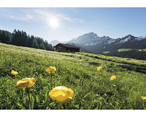 Papier peint panoramique intissé SHX8-003 Bonheur des Alpes 8 pces 400 x 280 cm
