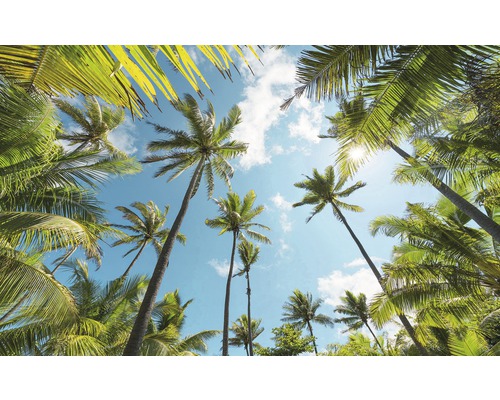 Papier peint panoramique intissé SHX9-108 Coconut Heaven 9 pces 450 x 280 cm