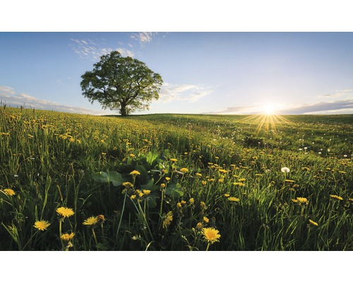 Papier peint panoramique intissé SHX9-034 Printemps dans la campagne 9 pces 450 x 280 cm Papier peint panoramique intissé SHX9-034 Printemps dans la campagne 9 pces 450 x 280 cm