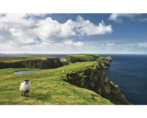 Papier peint panoramique intissé SHX9-040 Green Ireland 9 pces 450 x 280 cm