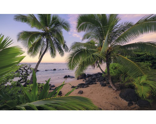 Fototapete Vlies SHX9-116 Hawaiian Dreams 9-tlg. 450 x 280 cm