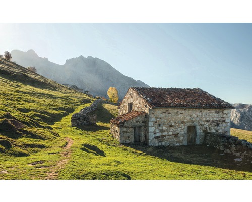 Papier peint panoramique intissé SHX9-068 Picos de Europe Alm 9 pces 450 x 280 cm Papier peint panoramique intissé SHX9-068 Picos de Europe Alm 9 pces 450 x 280 cm