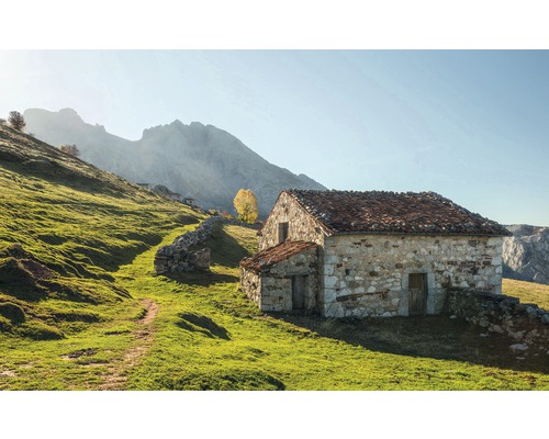 Papier peint panoramique intissé SHX9-068 Picos de Europe Alm 9 pces 450 x 280 cm