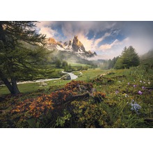 Paysage de montagne avec rivière, prairies et arbres