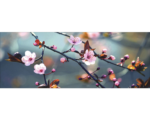 Glasbild Spring Bud 30x80 cm