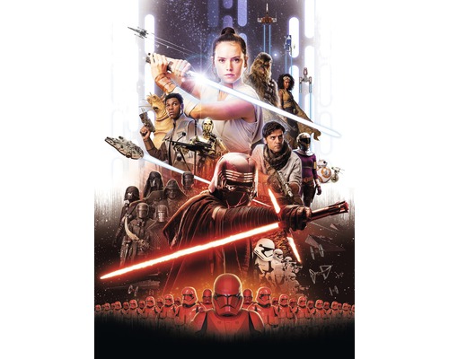Fototapete Papier 4-4113 Disney Edition 4 Star Wars EP9 Movie Poster Rey 4-tlg. 184 x 254 cm