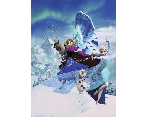 Papier peint photo intissé Frozen Elsas Magic 4 pces 200x280 cm