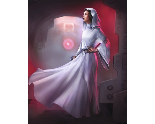 Papier peint panoramique intissé DX4-046 Disney Edition 4 Star Wars Classic Leia 4 pces 200 x 250 cm