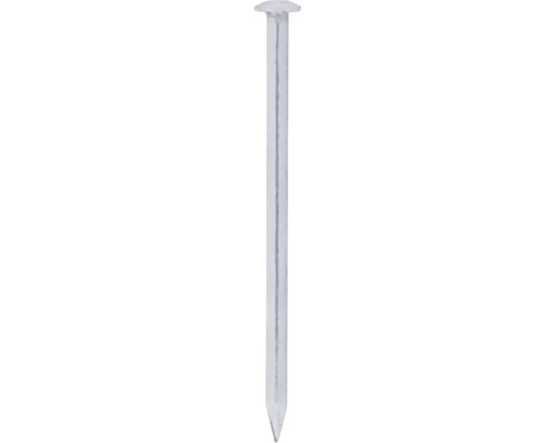 Clous Deltafix tête ronde A2 Ø 1,2 x 20 mm 500 pièces Un seul clou en acier à tête plate.