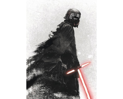 Papier peint panoramique intissé DX4-074 Disney Edition 4 Star Wars Kylo Vader Shadow 4 pces 200 x 280 cm