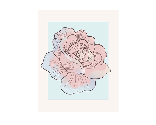 Poster Cinderella Rose 40x30 cm