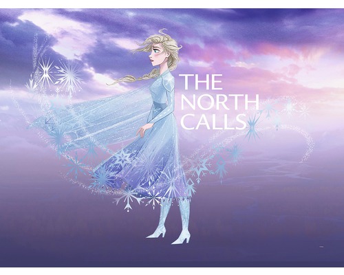 Poster Frozen Elsa The North Calls