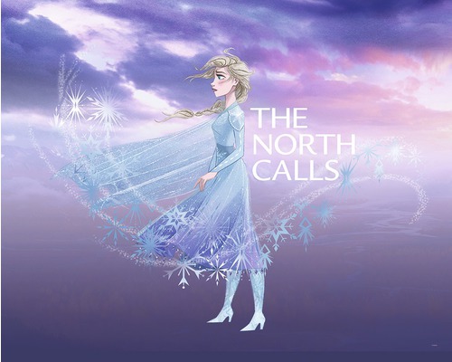Poster Frozen Elsa The North Calls 40x50 cm