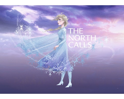 Poster Frozen Elsa The North Calls 50x70 cm