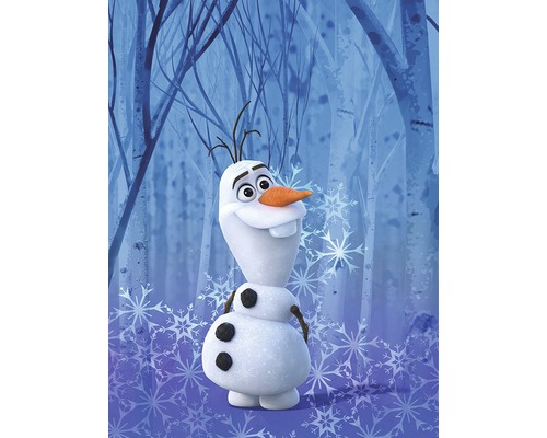 Poster Frozen Olaf Crystal 40x30 cm