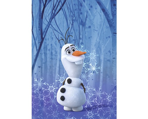 BLUE OLAFページ Poster Frozen Olaf Crystal 50x70 cm - HORNBACH