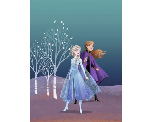 Poster Frozen Sisters 40x30 cm